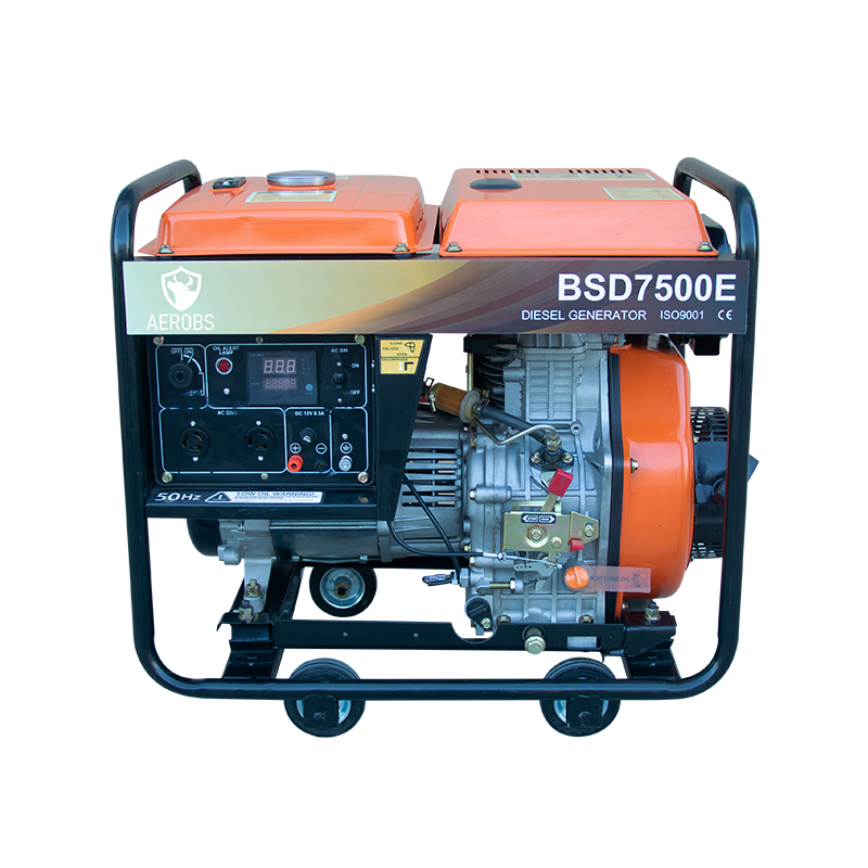 BSD7500E 6kW Generator